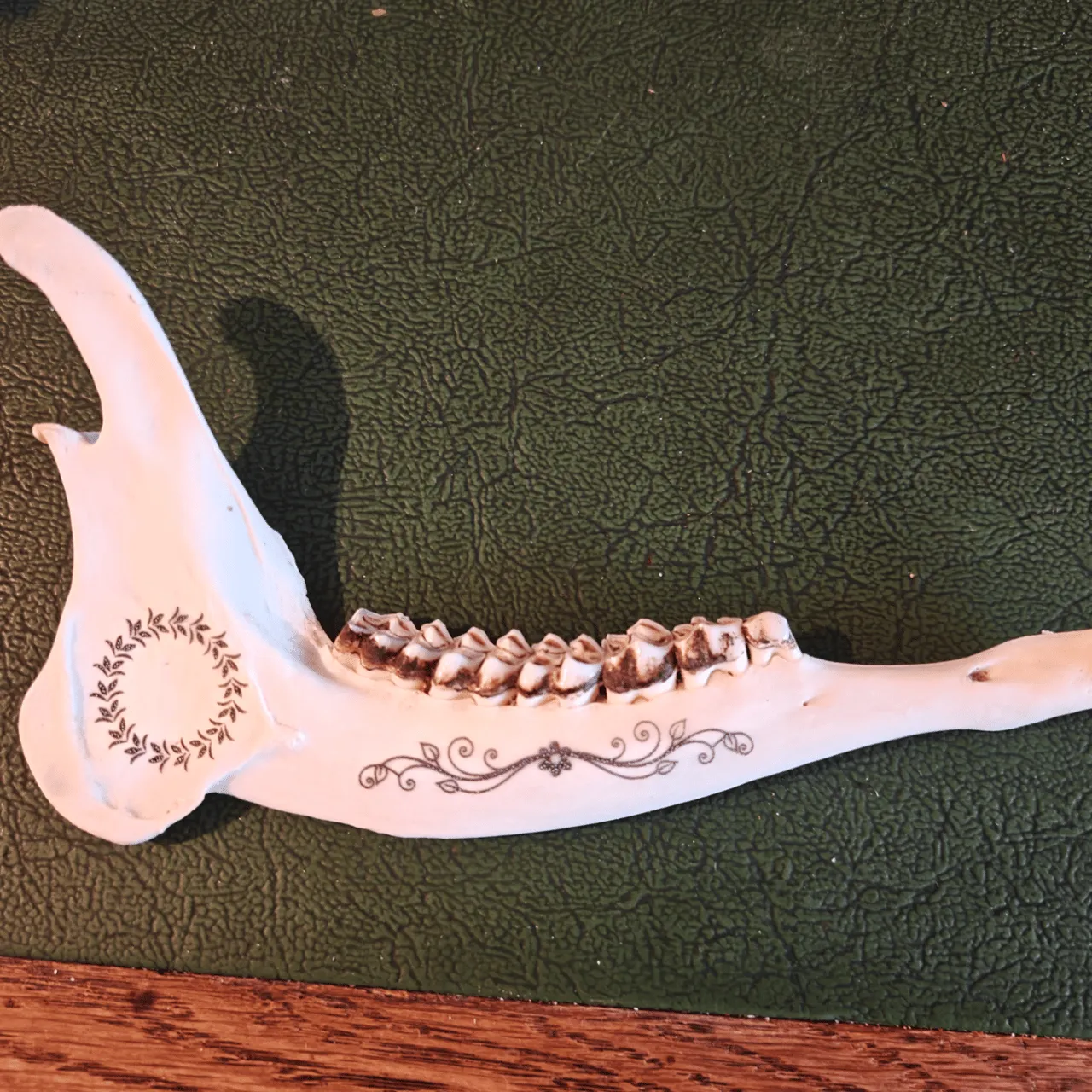 white deer jawbone test grid