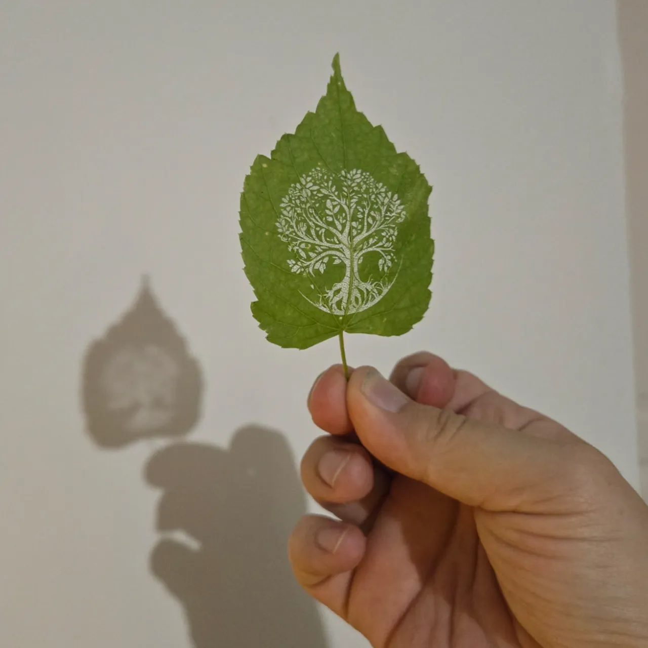 Cinnamon Leaf test grid