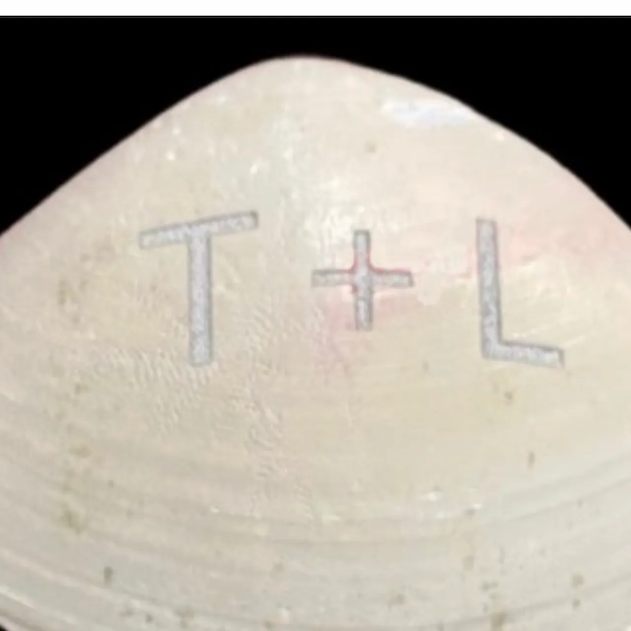sea shell test grid