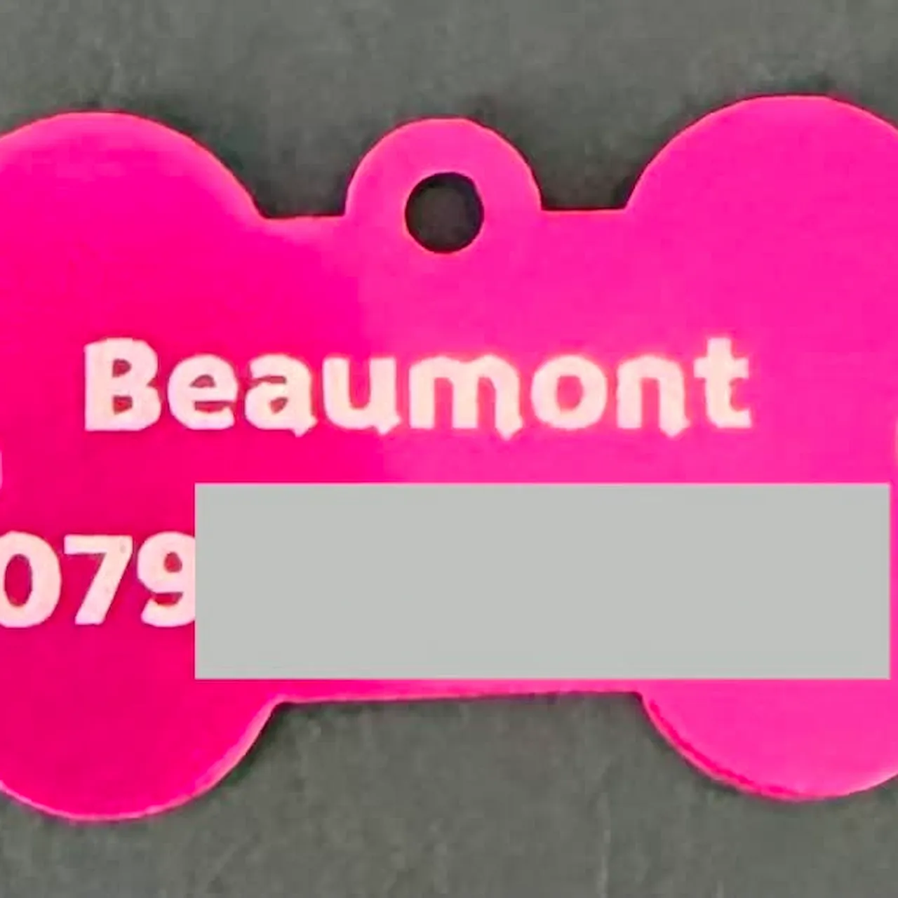 Pink Anodized Aluminum Bone Dog Tag test grid