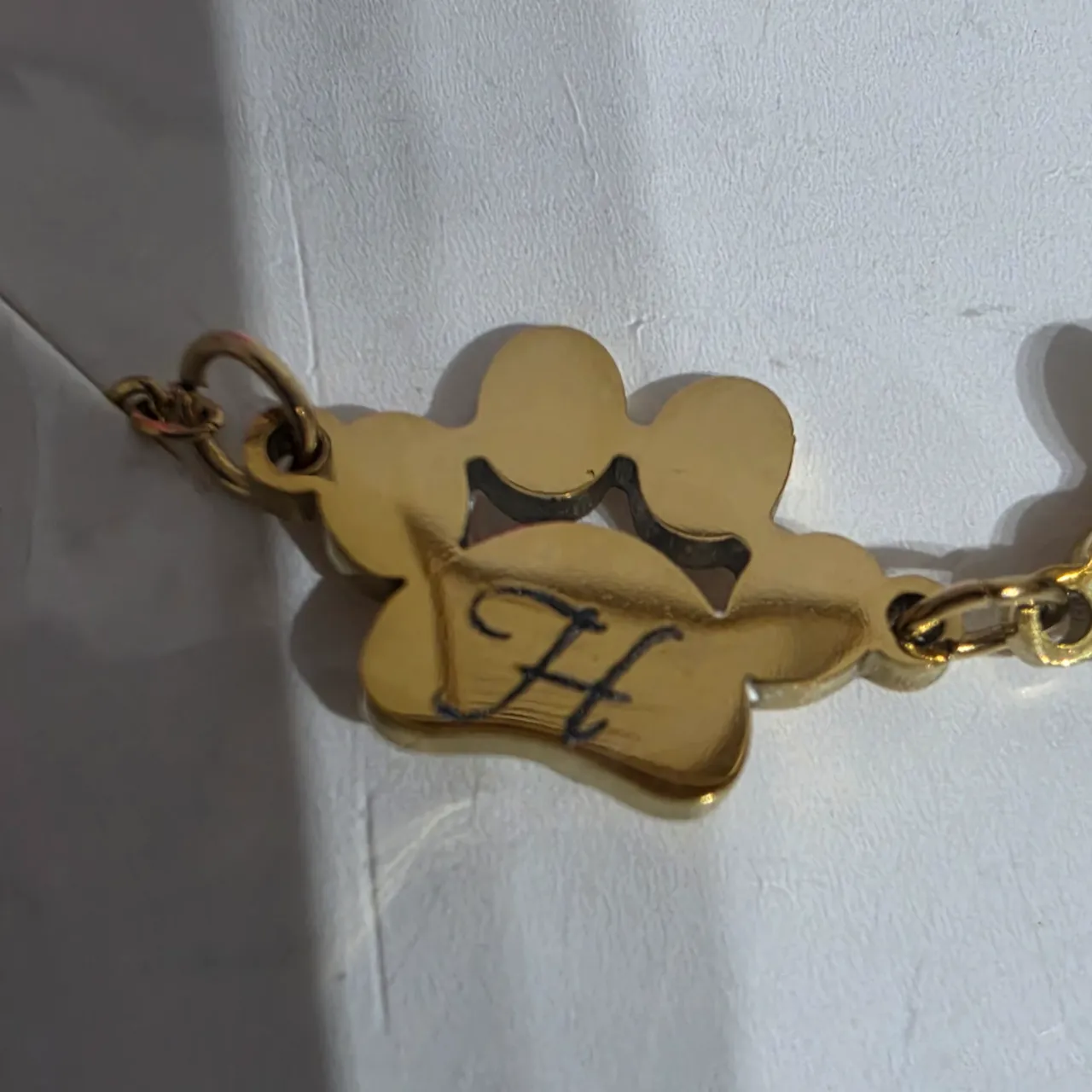 Gold Stainless Steel Dog Paw Bracelet test grid