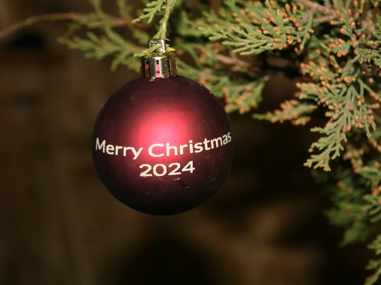 Plastic Ball Ornament test grid