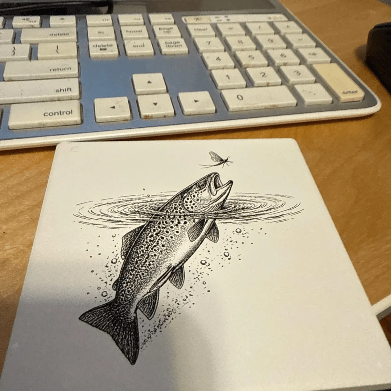 Trout Ceramic Coaster test grid