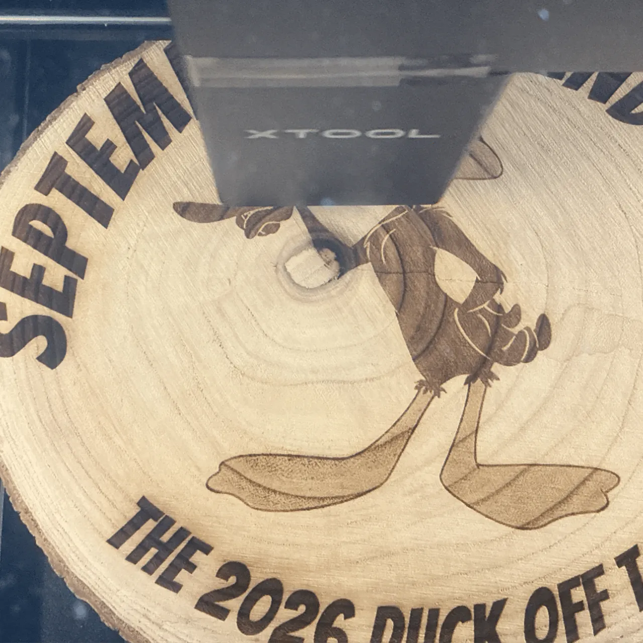 Pine Wood test grid