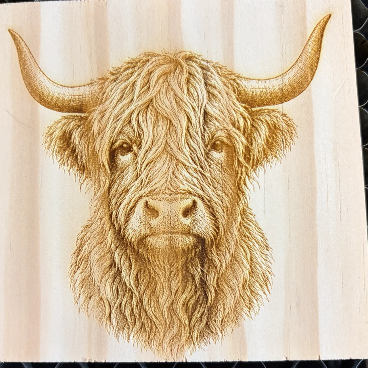 1/8"(3mm) Basswood Plywood test grid