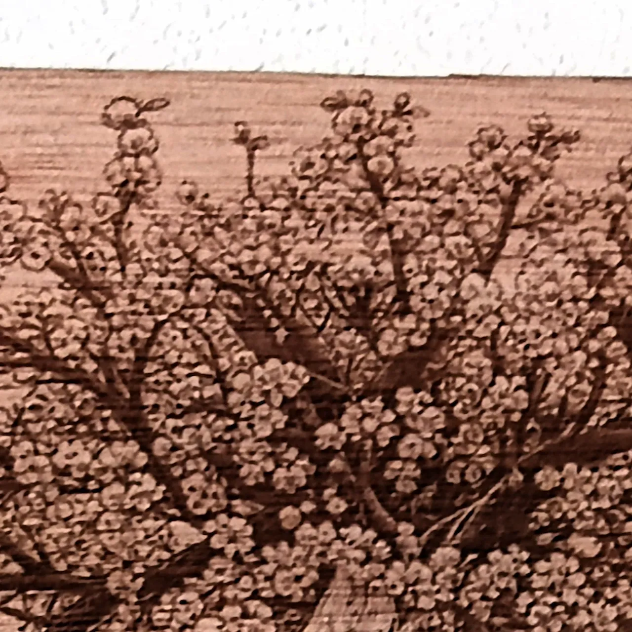 1/8"(3mm) Okoume Plywood test grid