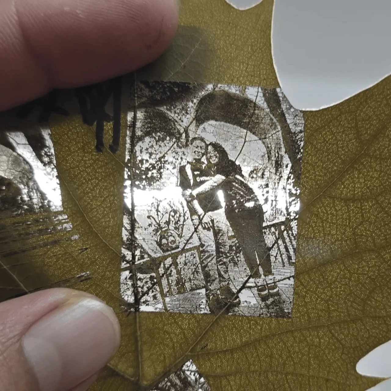Cinnamon Leaf test grid