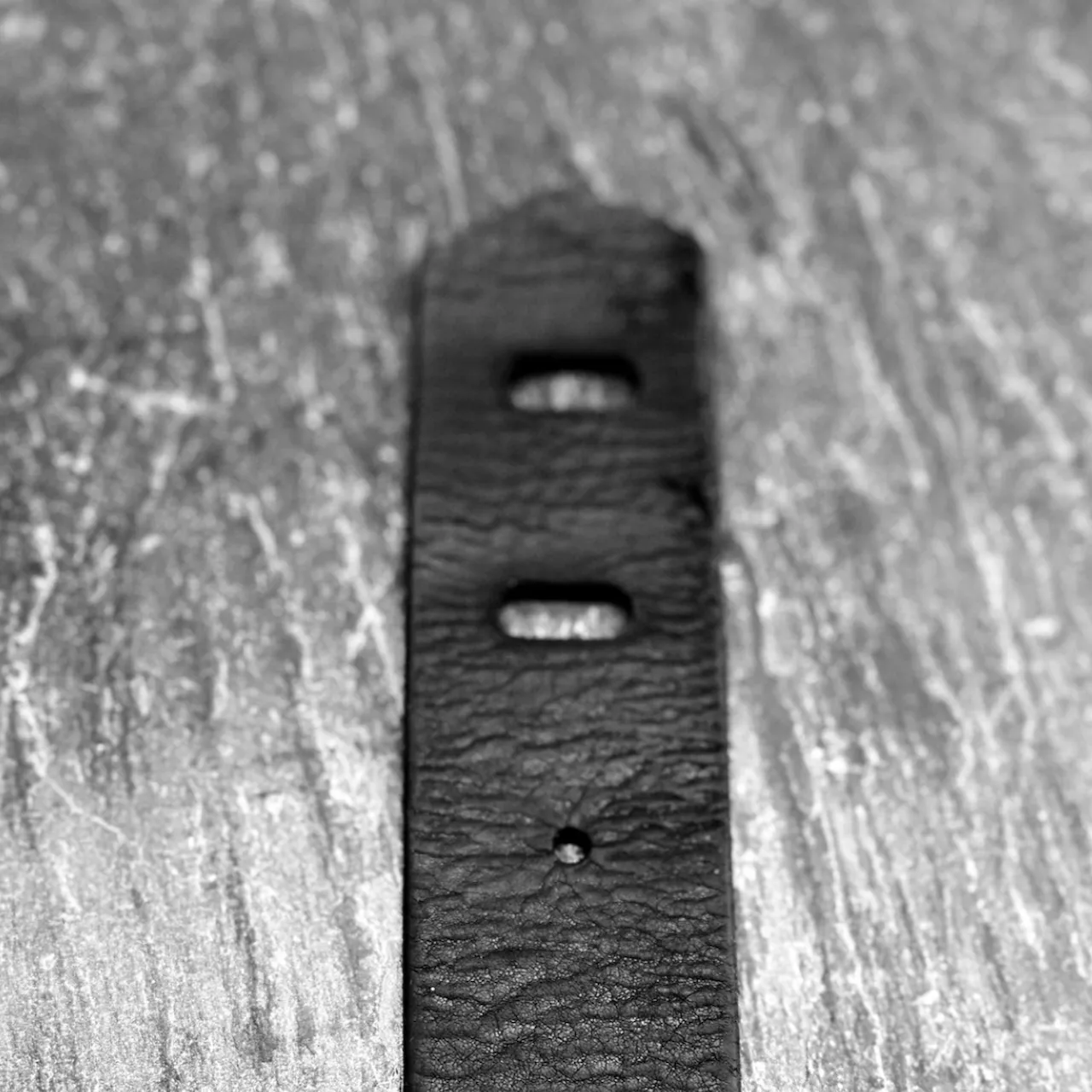 Black Top Grain Cowhide Leather test grid