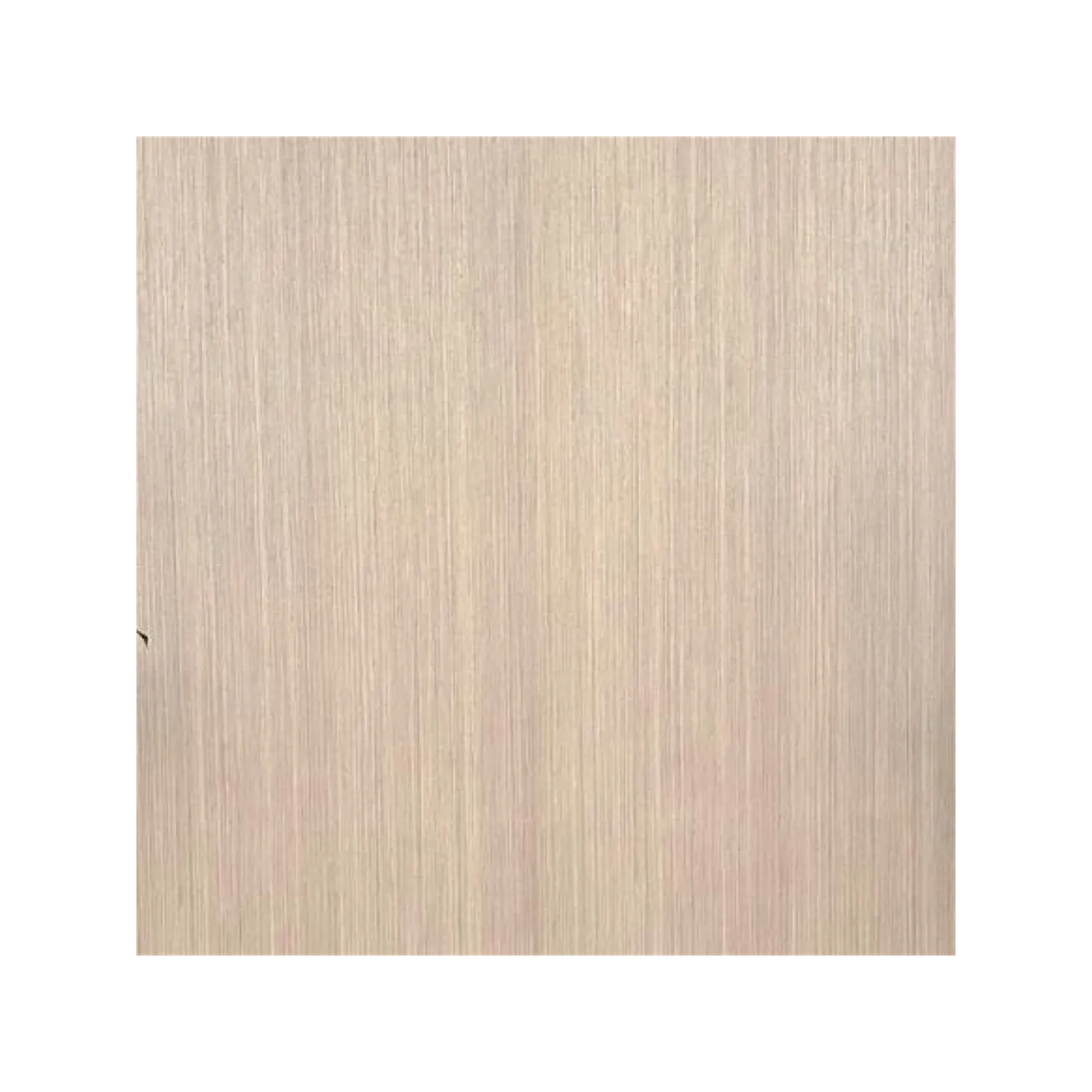 Boxwood
