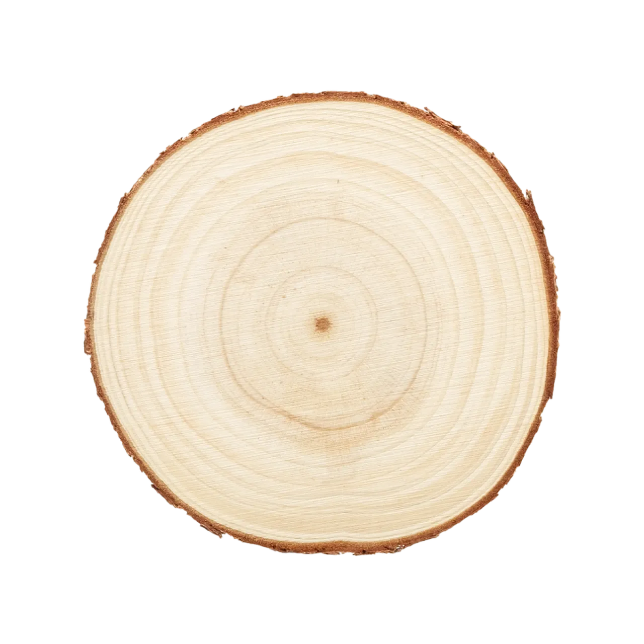 Pine Wood