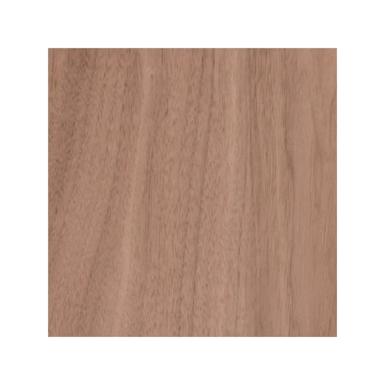 1/2"(12mm) Black Walnut Plywood