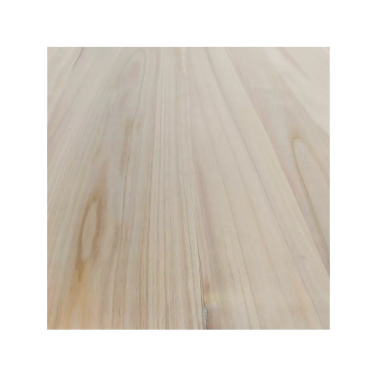 Paulownia Wood