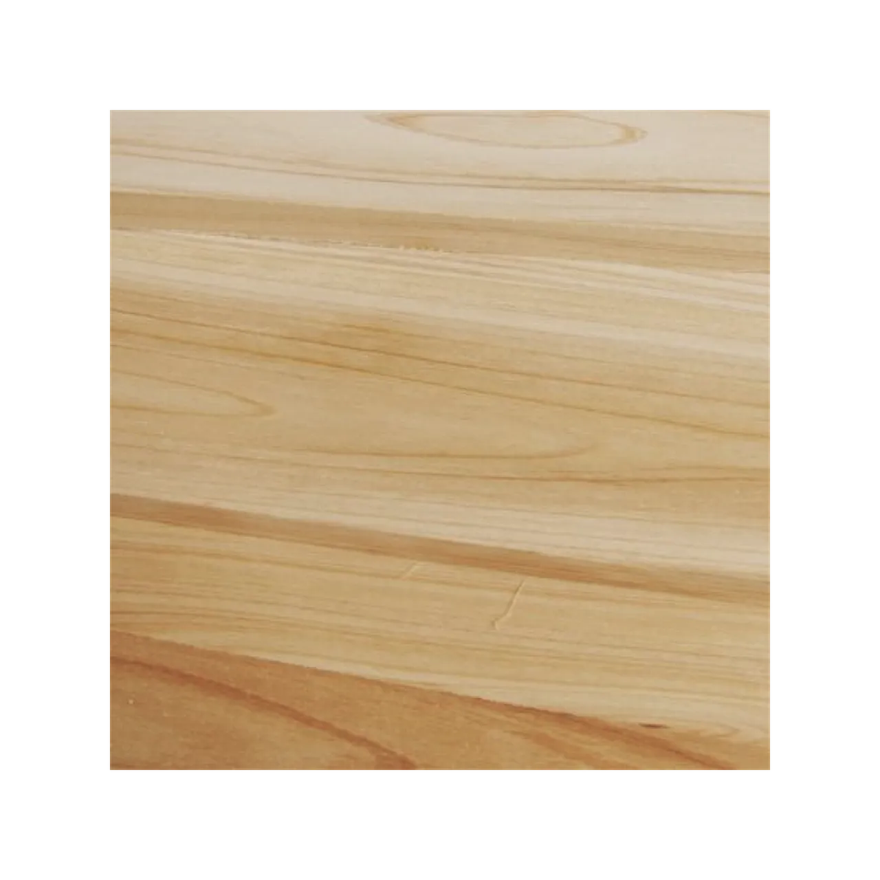 Metasequoia Wood