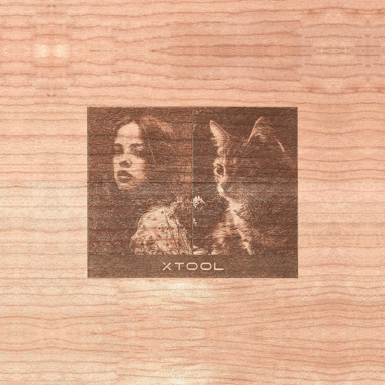 1/2"(12mm) Cherry Plywood test grid