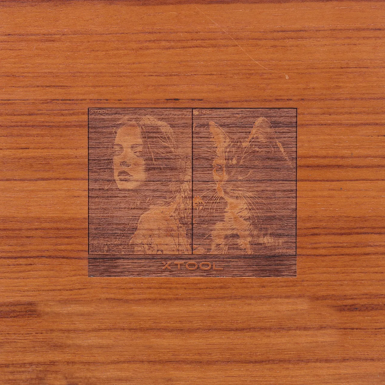 Varnished Teak test grid