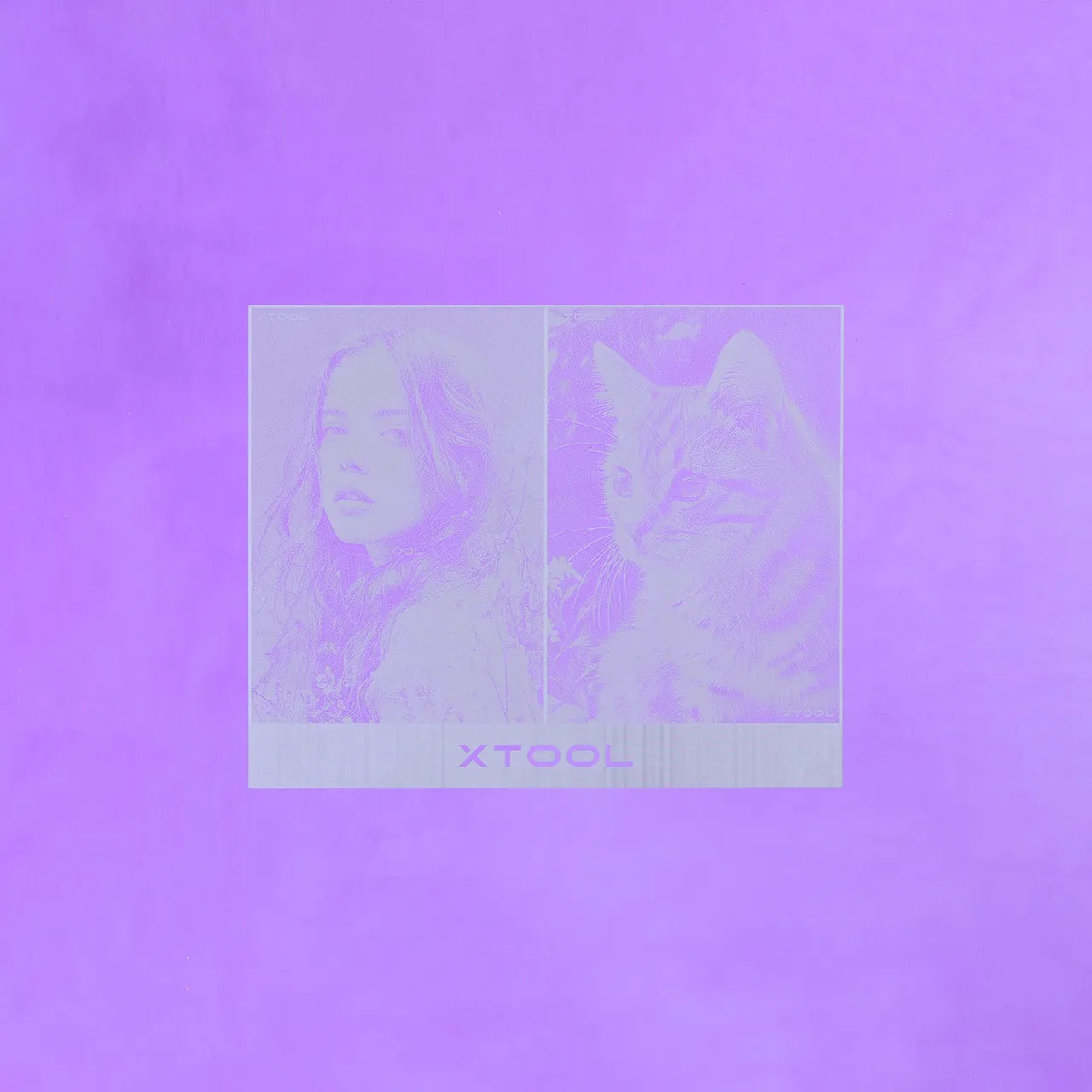 Purple Anodized Aluminum Bone Dog Tag test grid