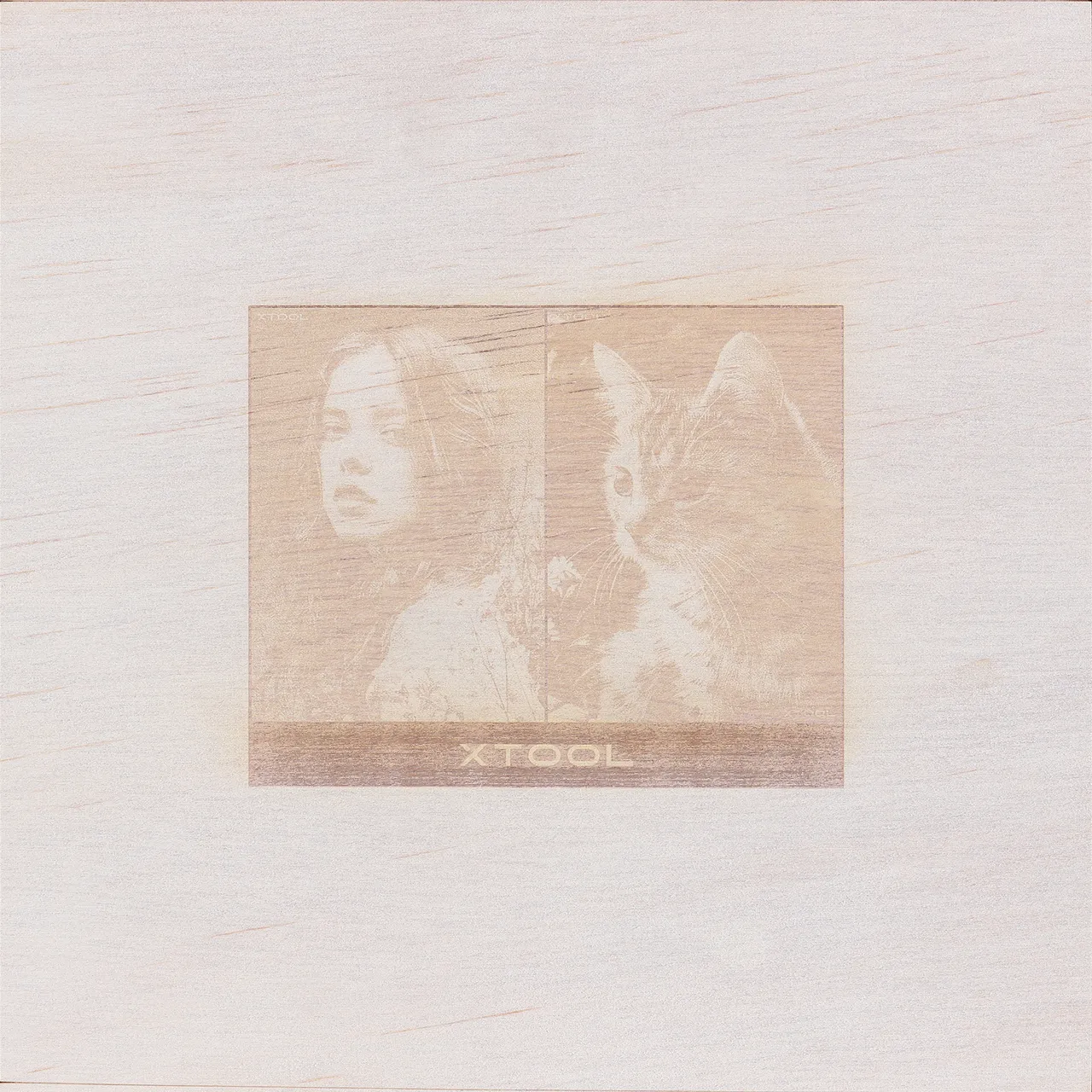 1/8"(3mm) Pine Ponderosa Plywood test grid