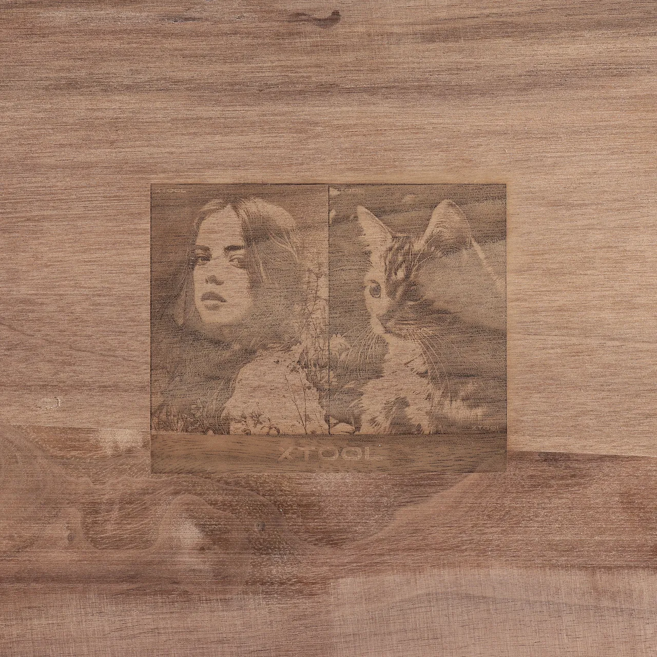 Walnut Wood test grid