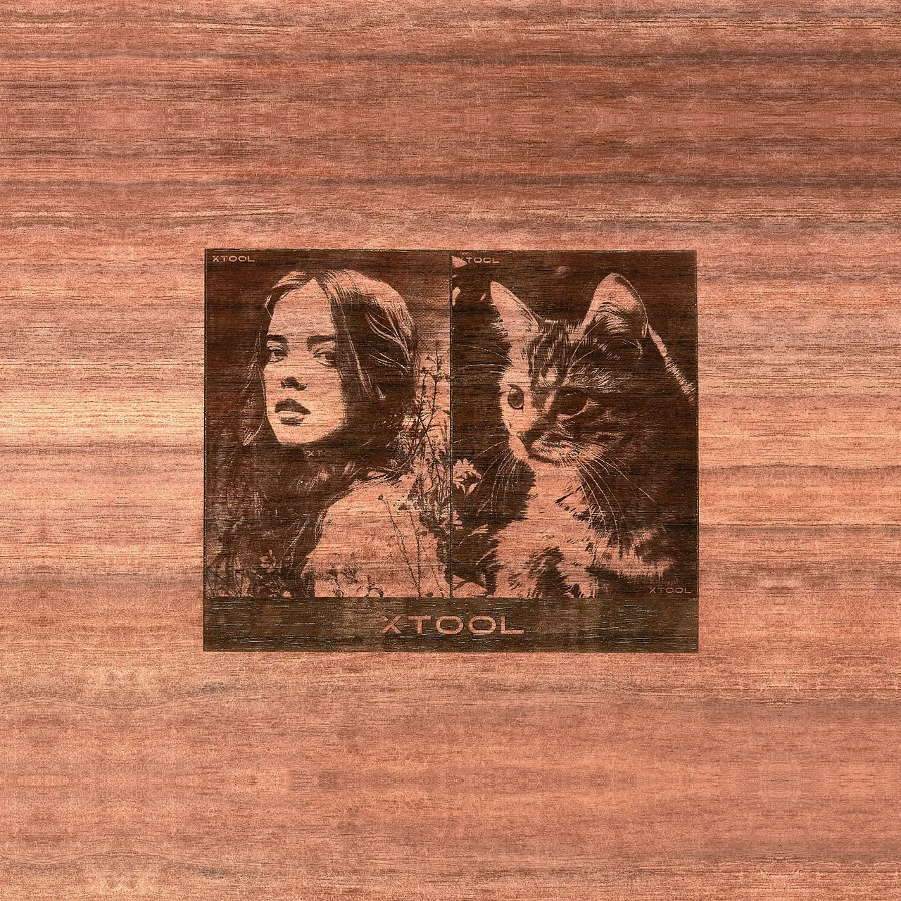 1/4"(6mm) Walnut Plywood test grid