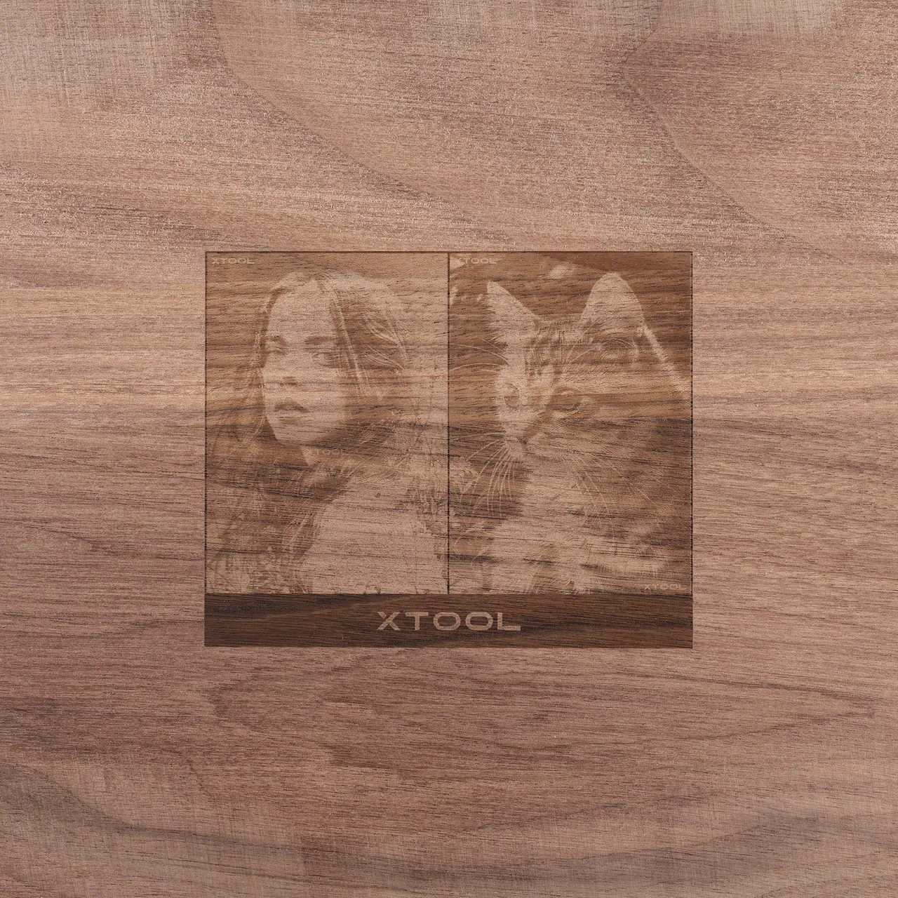 Walnut Wood test grid