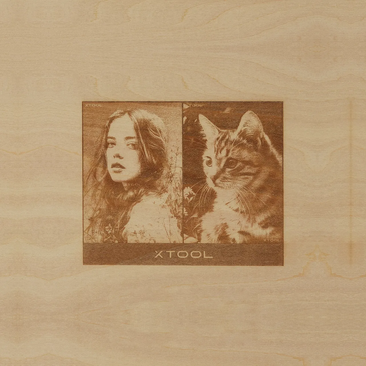 12mm Basswood Plywood test grid