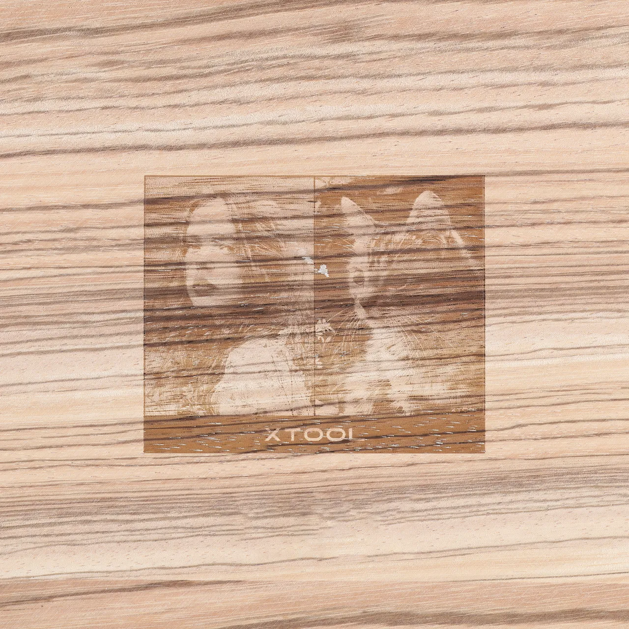 1/8"(3mm) Zebrawood Plywood test grid