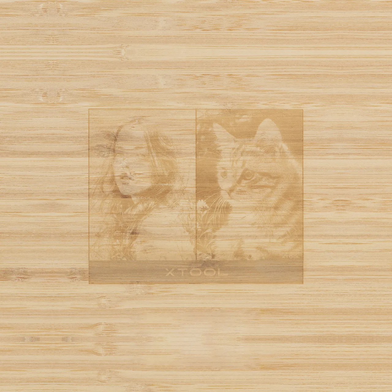 Bamboo Plant Label test grid