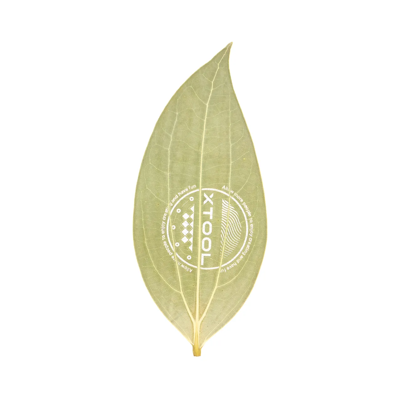 Cinnamon Leaf test grid