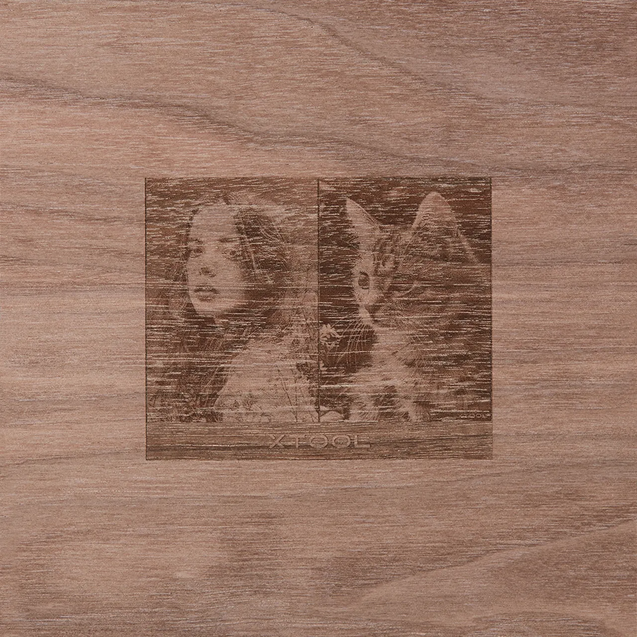 1/2"(12mm) Black Walnut Plywood test grid