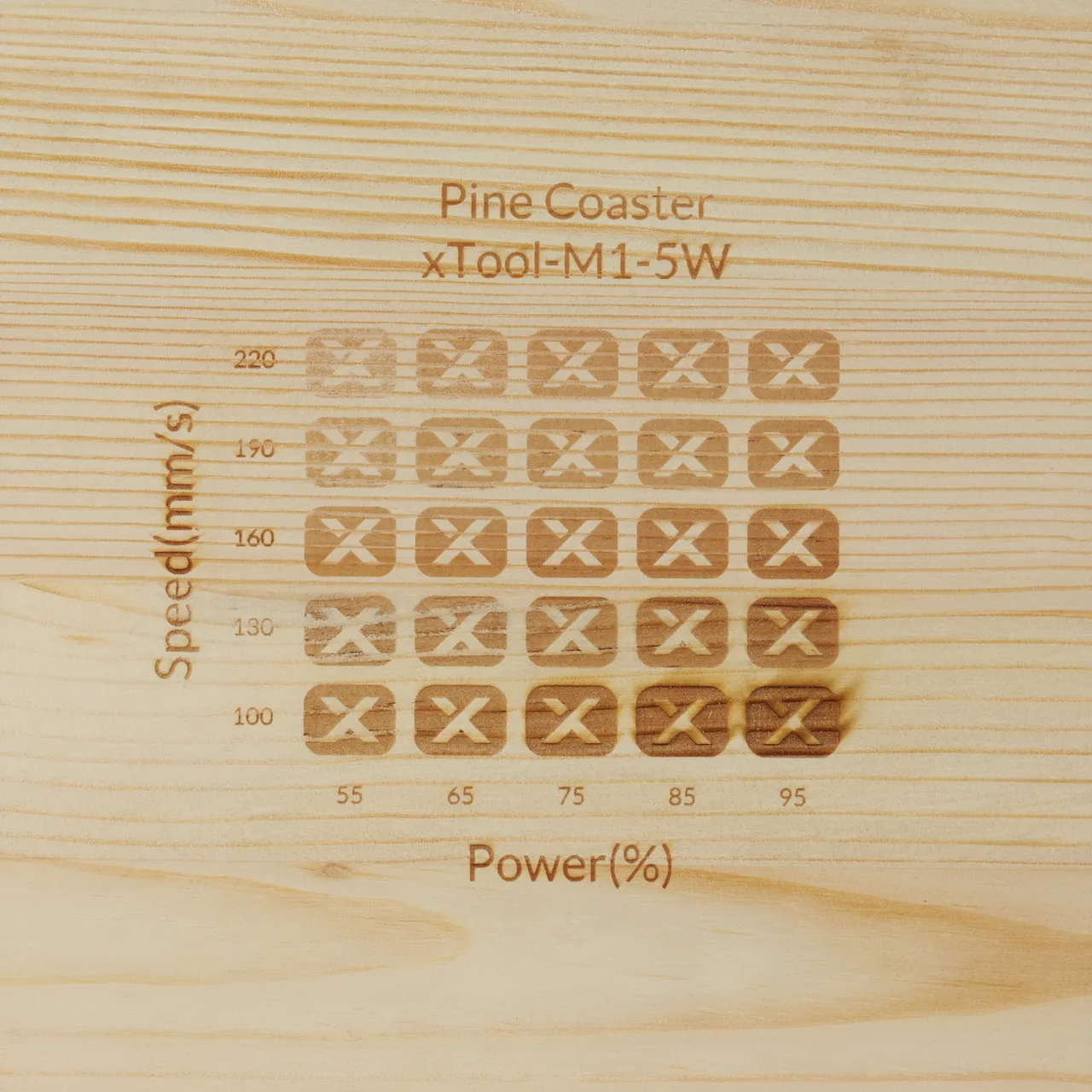 Pine Ponderosa Coaster test grid