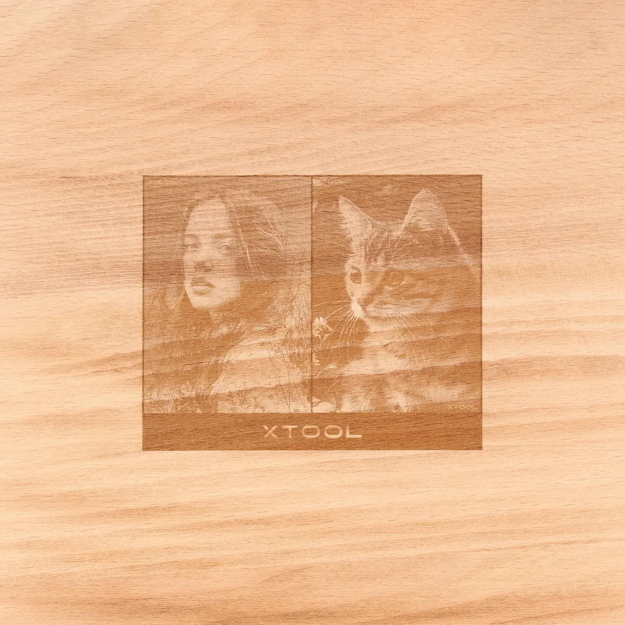 Carbonized Beech Wood test grid