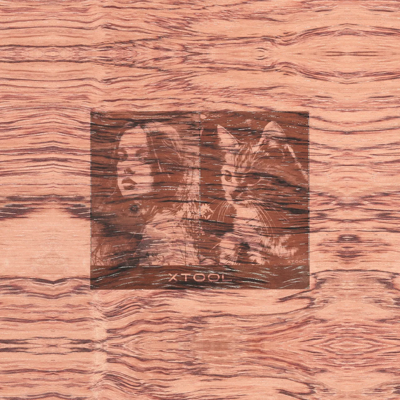 1/4"(6mm) Technological Plywood test grid