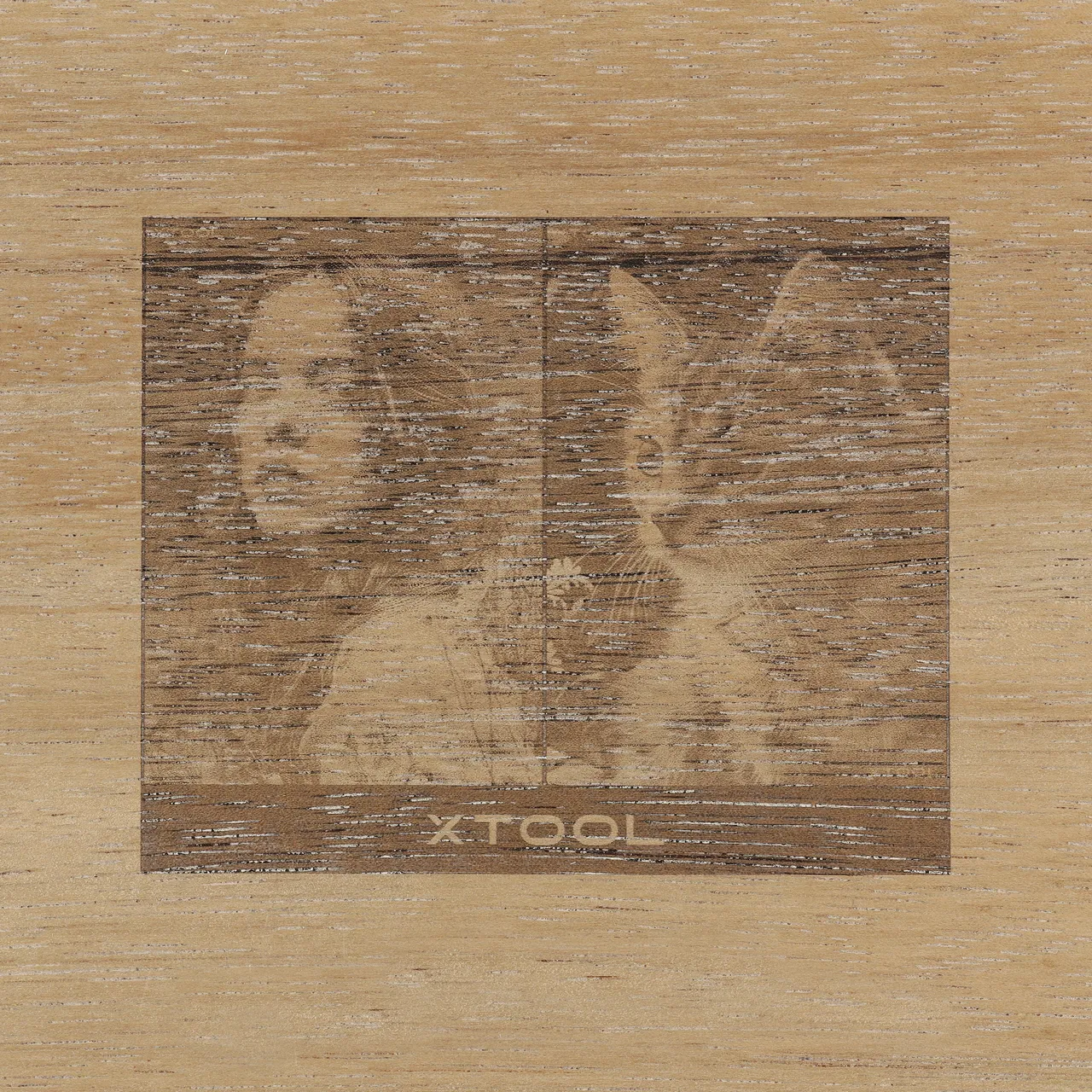 1/8"(3mm) Terminalia Plywood test grid