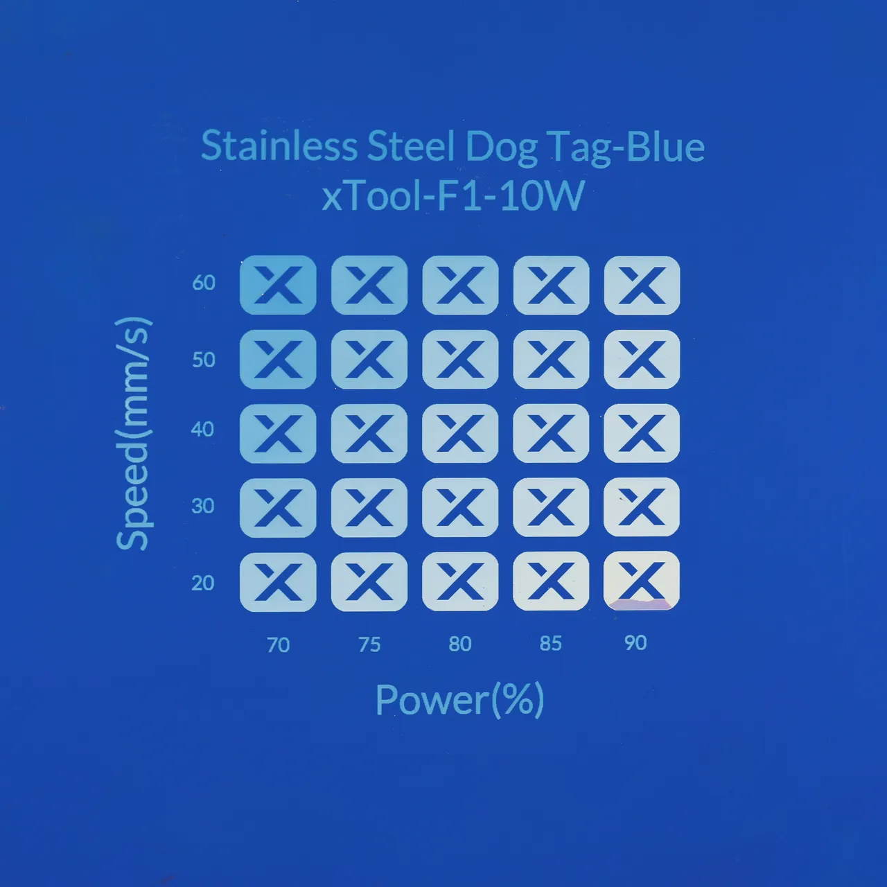 Blue Stainless Steel Bone Dog Tag test grid