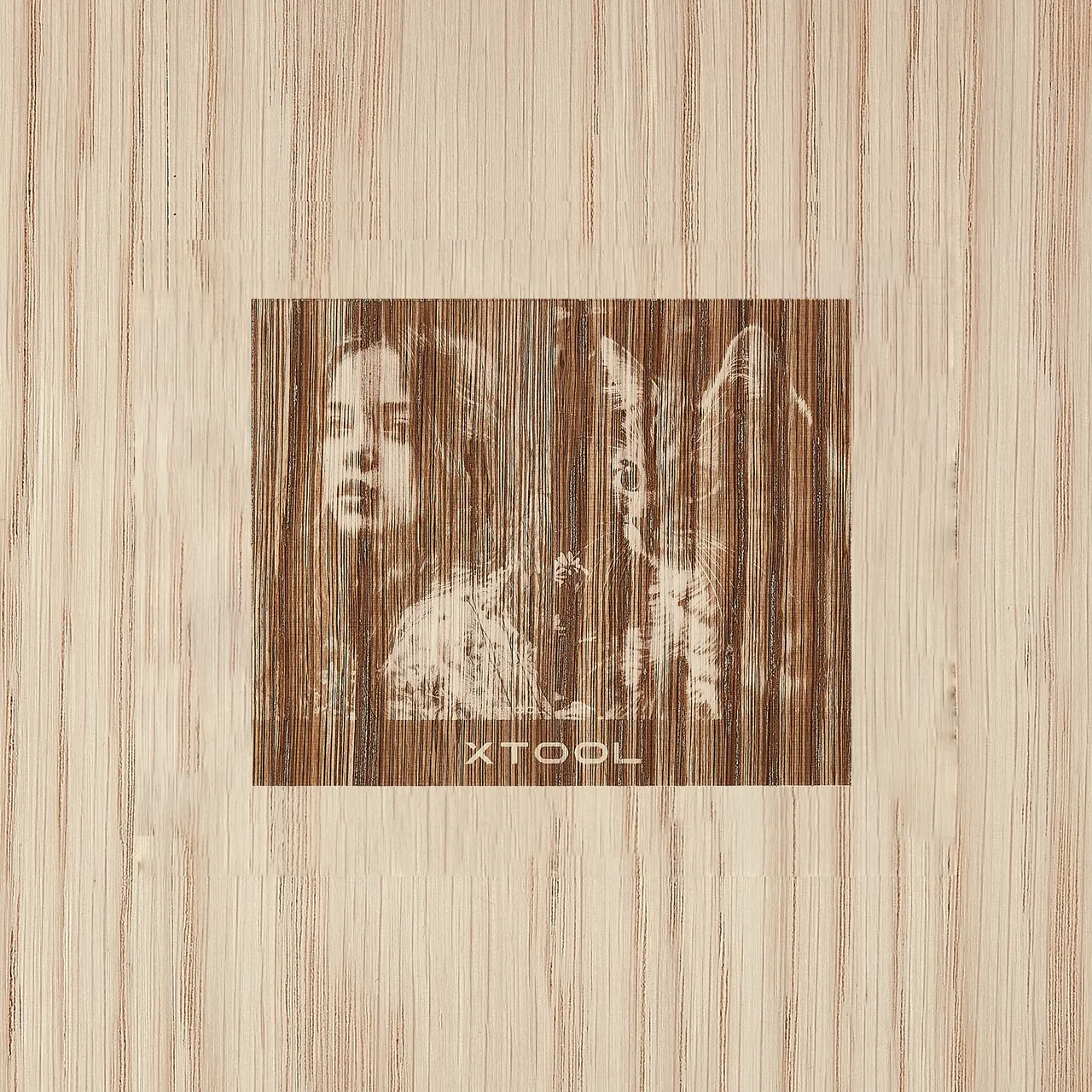 1/4"(6mm) White oak plywood test grid