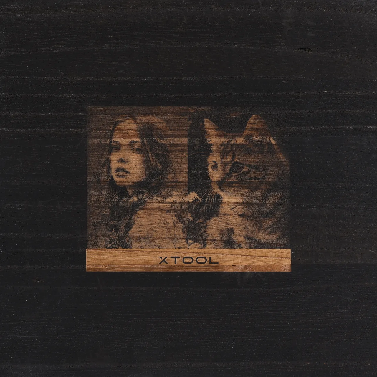 Black Painted Paulownia Wood test grid