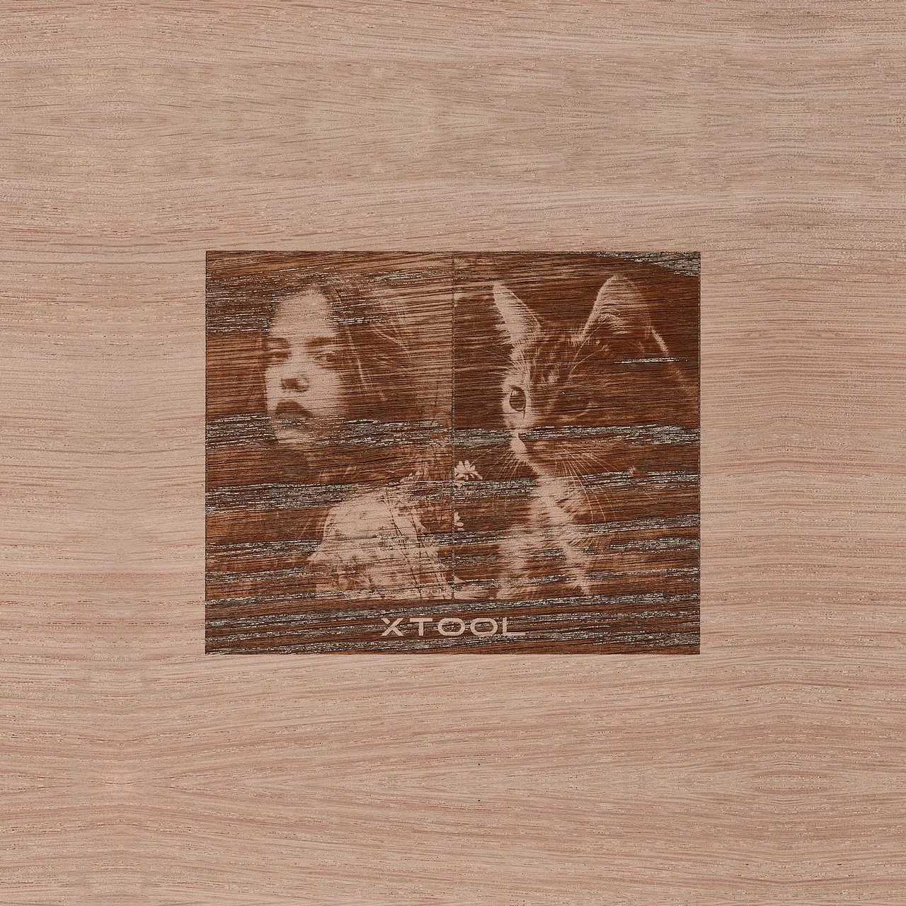 1/4"(6mm) Red Oak Plywood test grid