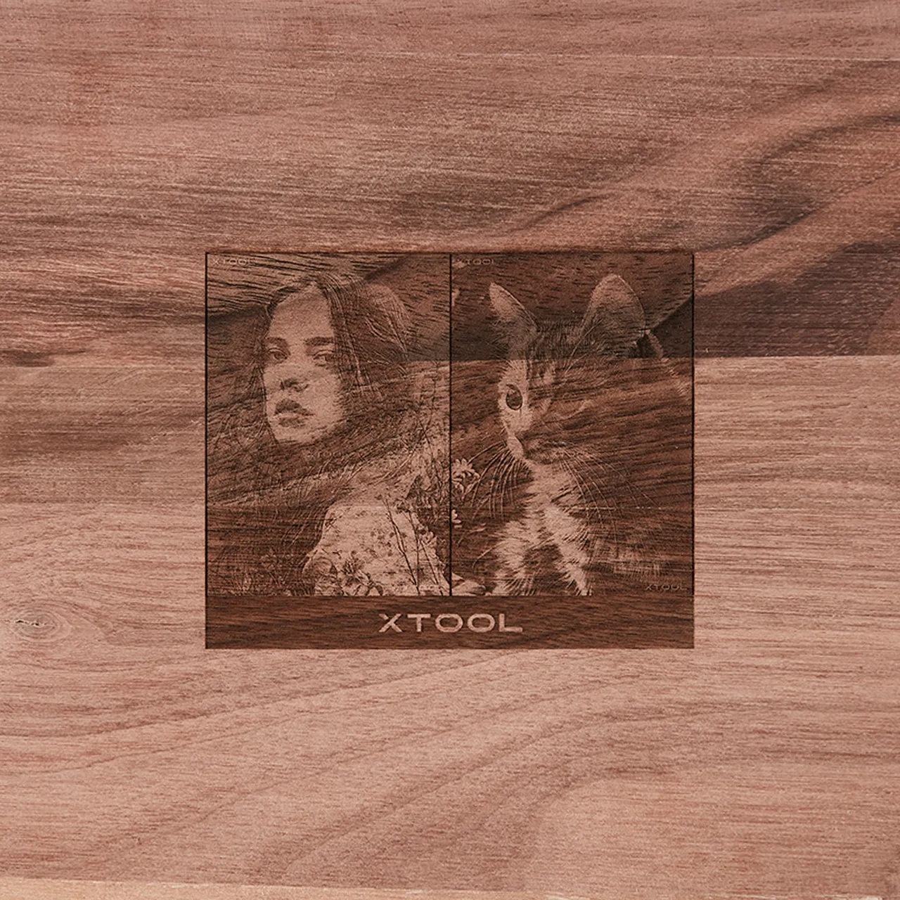 Walnut Wood test grid