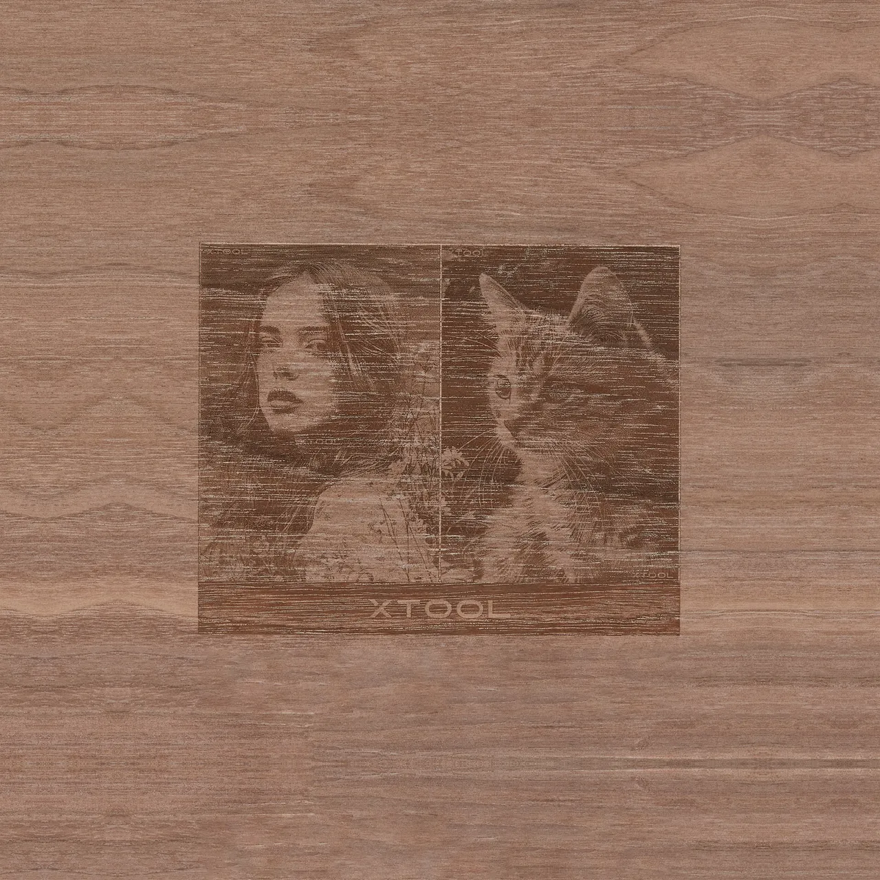 1/4"(6mm) Walnut Plywood test grid
