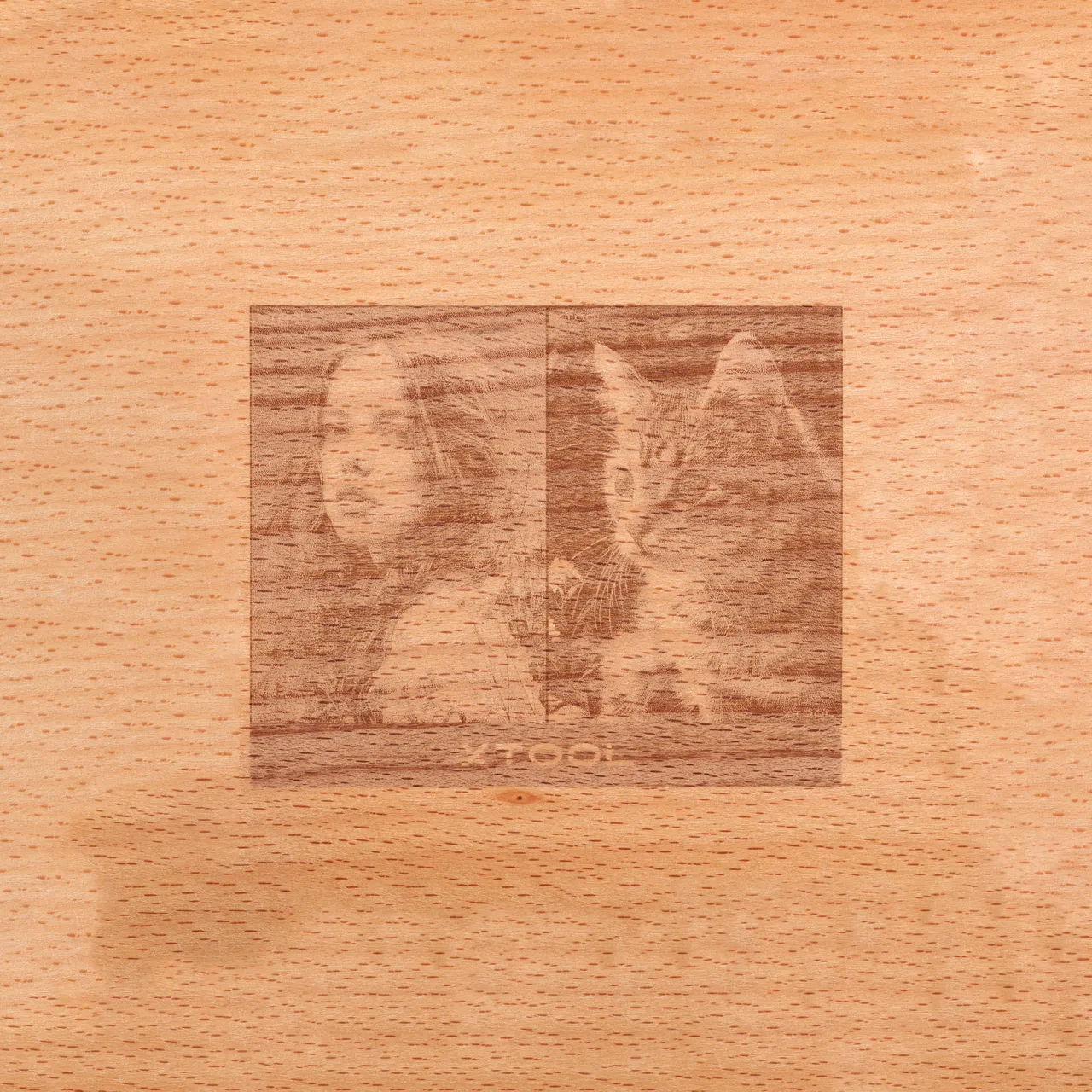 Edible Oil Coated Beech Wood test grid