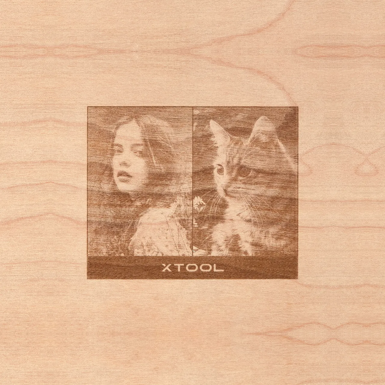 1/4"(6mm) Birch Plywood test grid