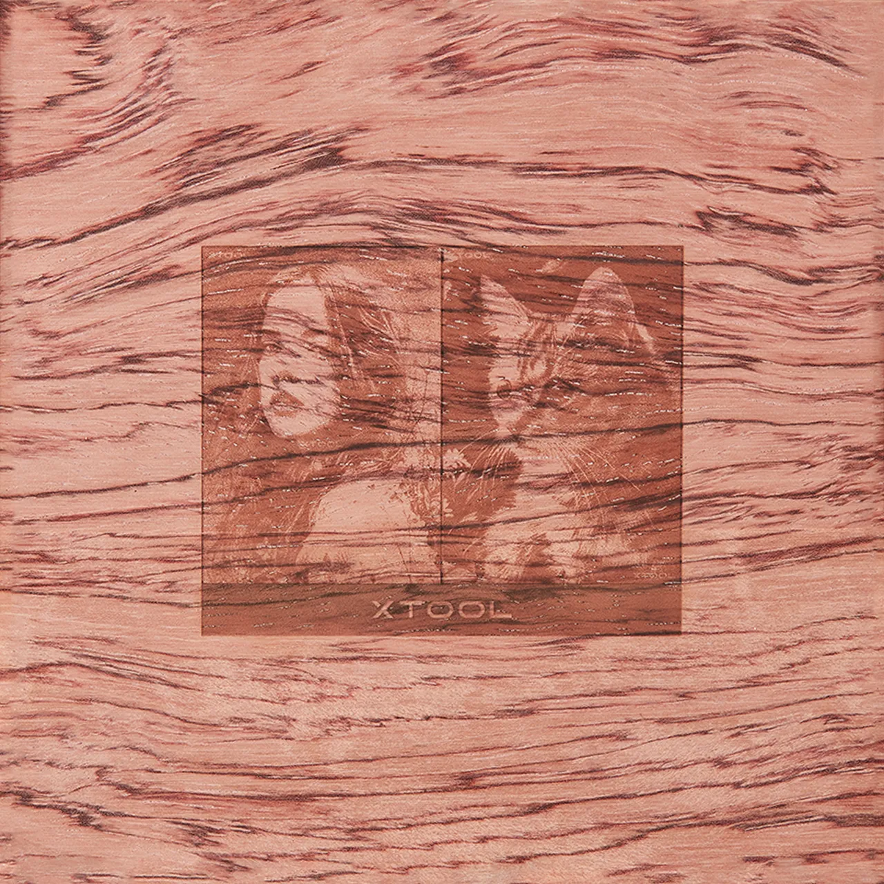1/4"(6mm) Technological Plywood test grid