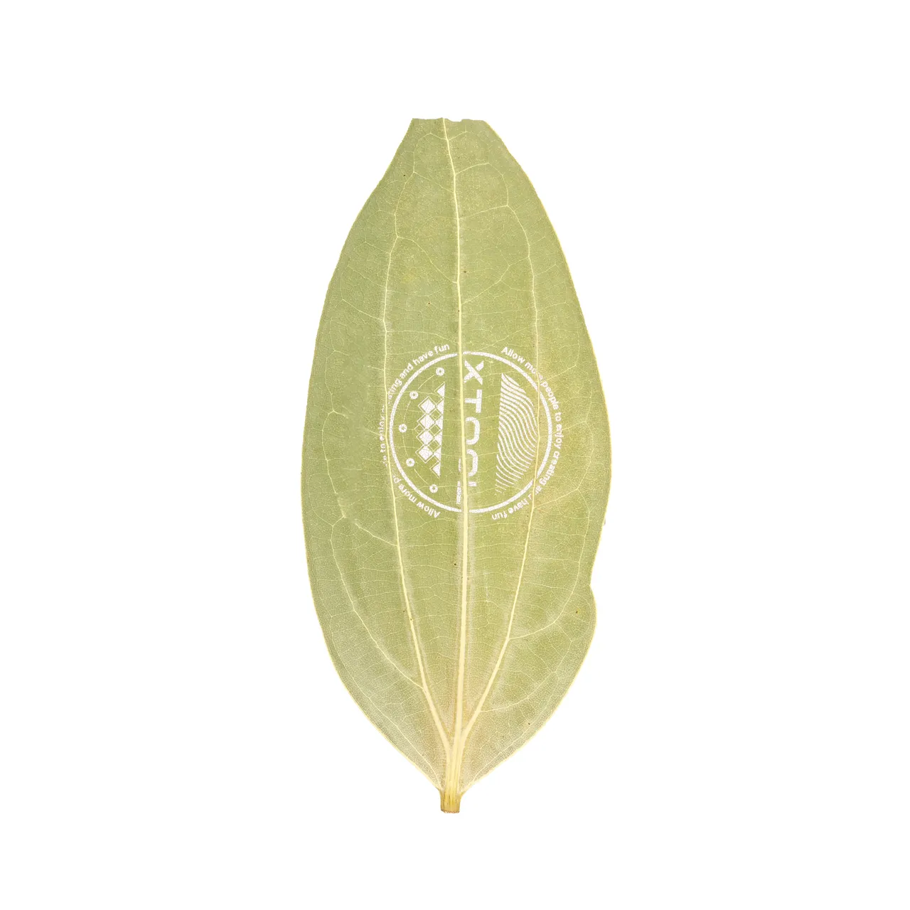 Cinnamon Leaf test grid