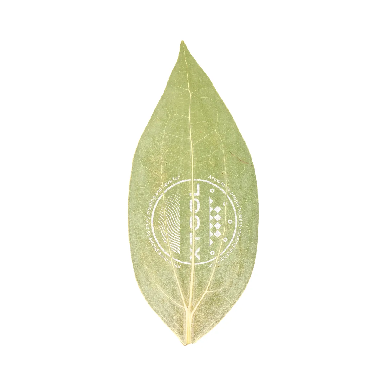 Cinnamon Leaf test grid