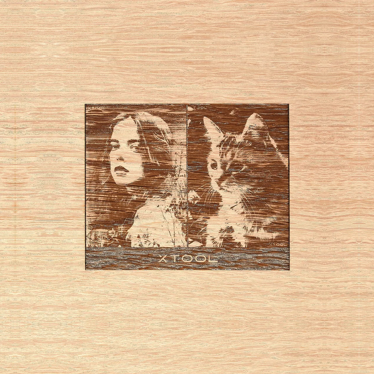 1/4"(6mm) White oak plywood test grid