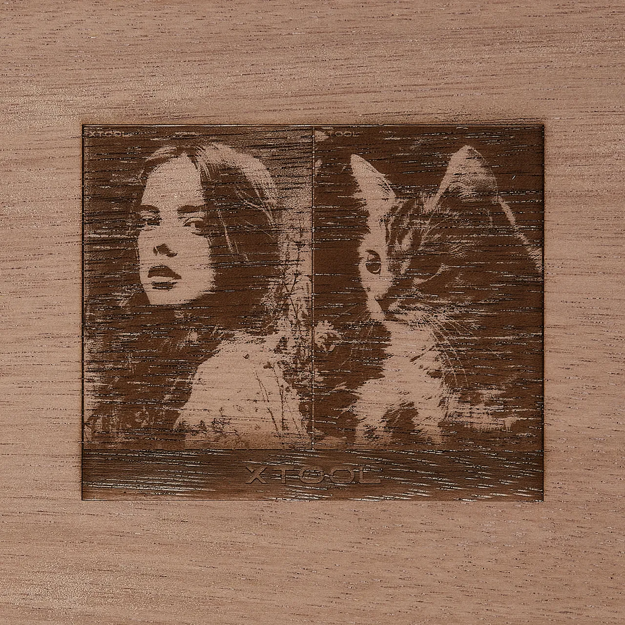 1/8"(3mm) Terminalia Plywood test grid