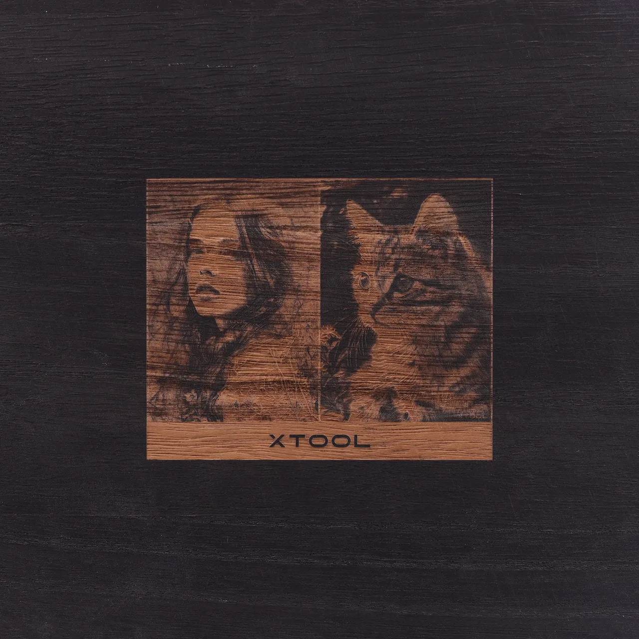 Black Painted Paulownia Wood test grid