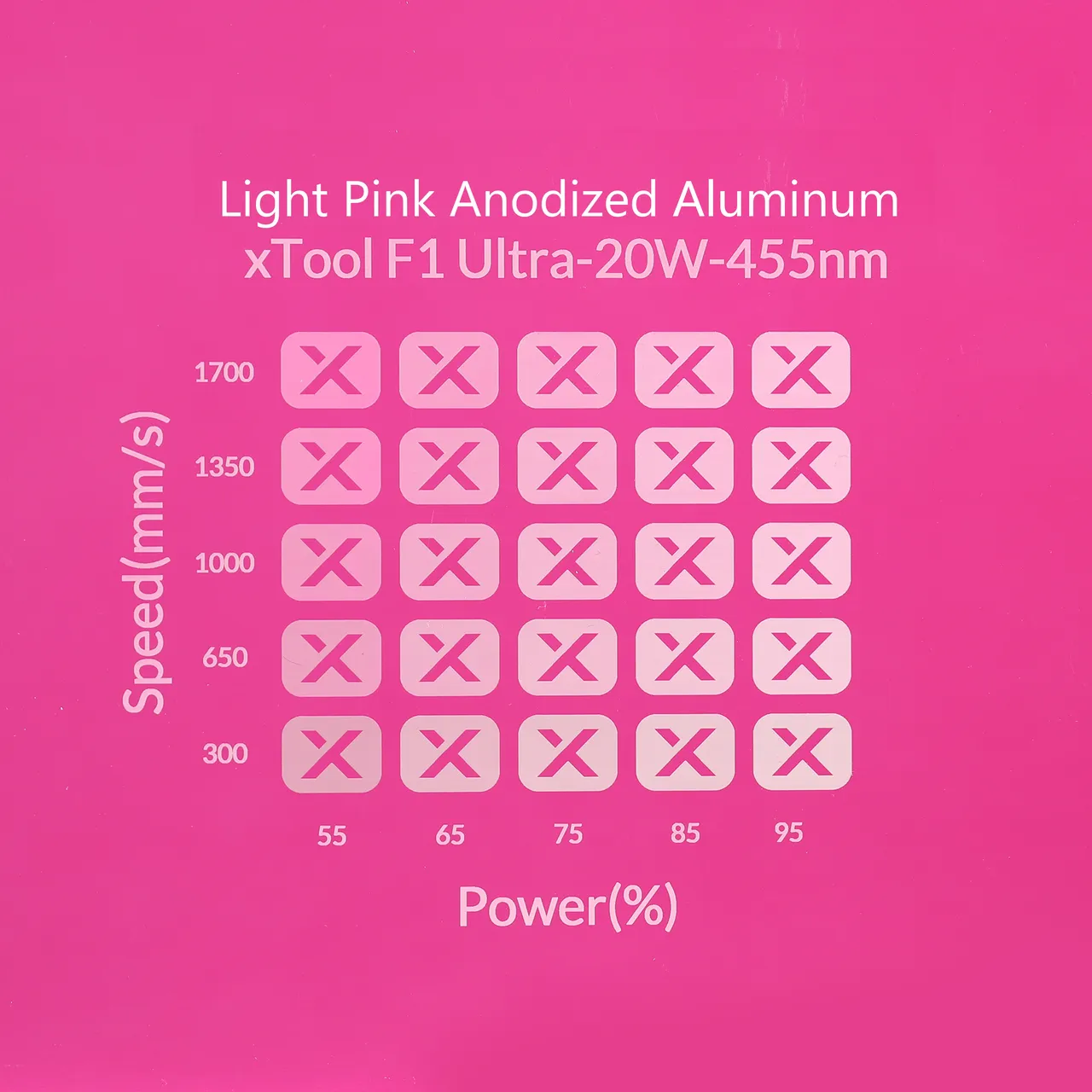 Pink Anodized Aluminum Bone Dog Tag test grid