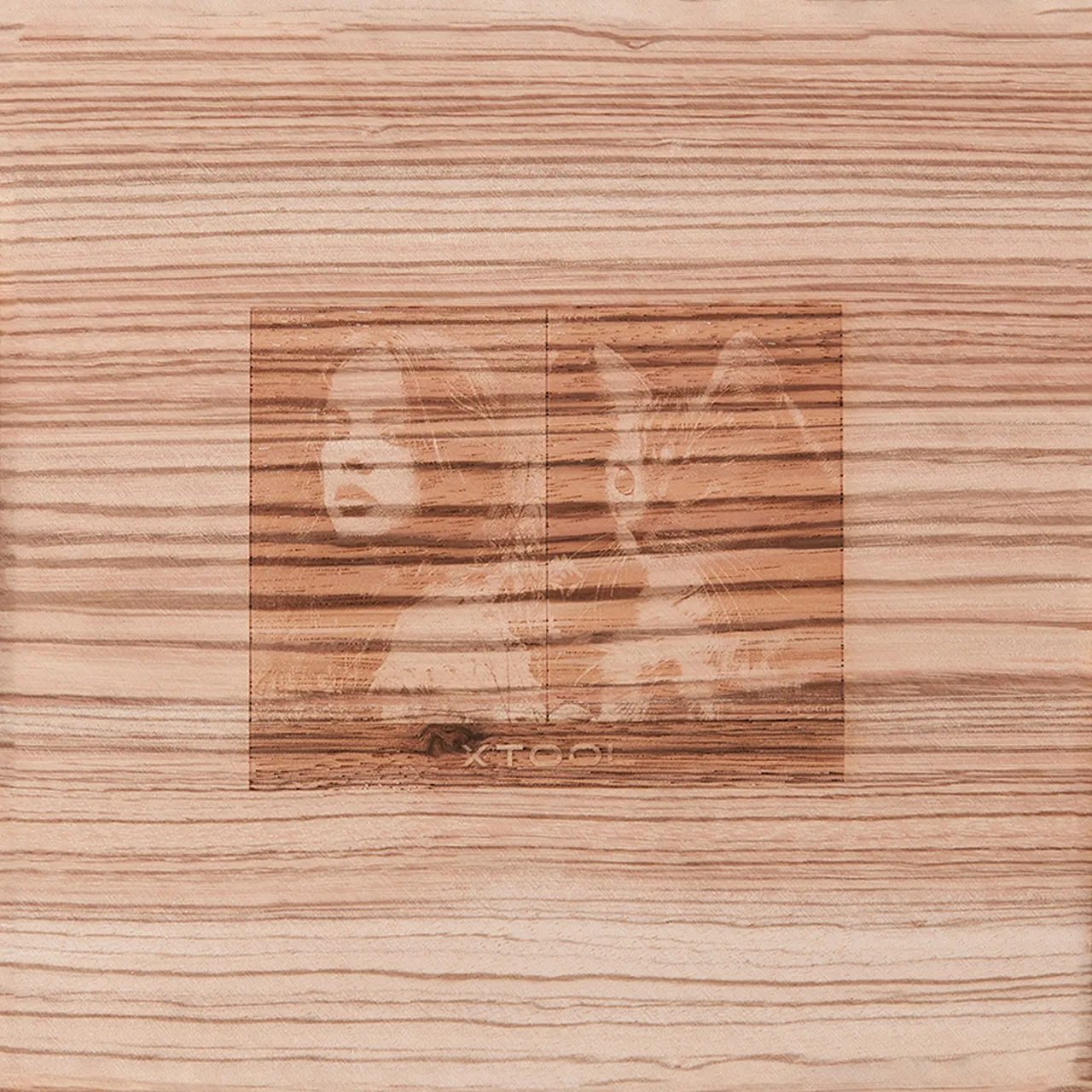 1/8"(3mm) Zebrawood Plywood test grid