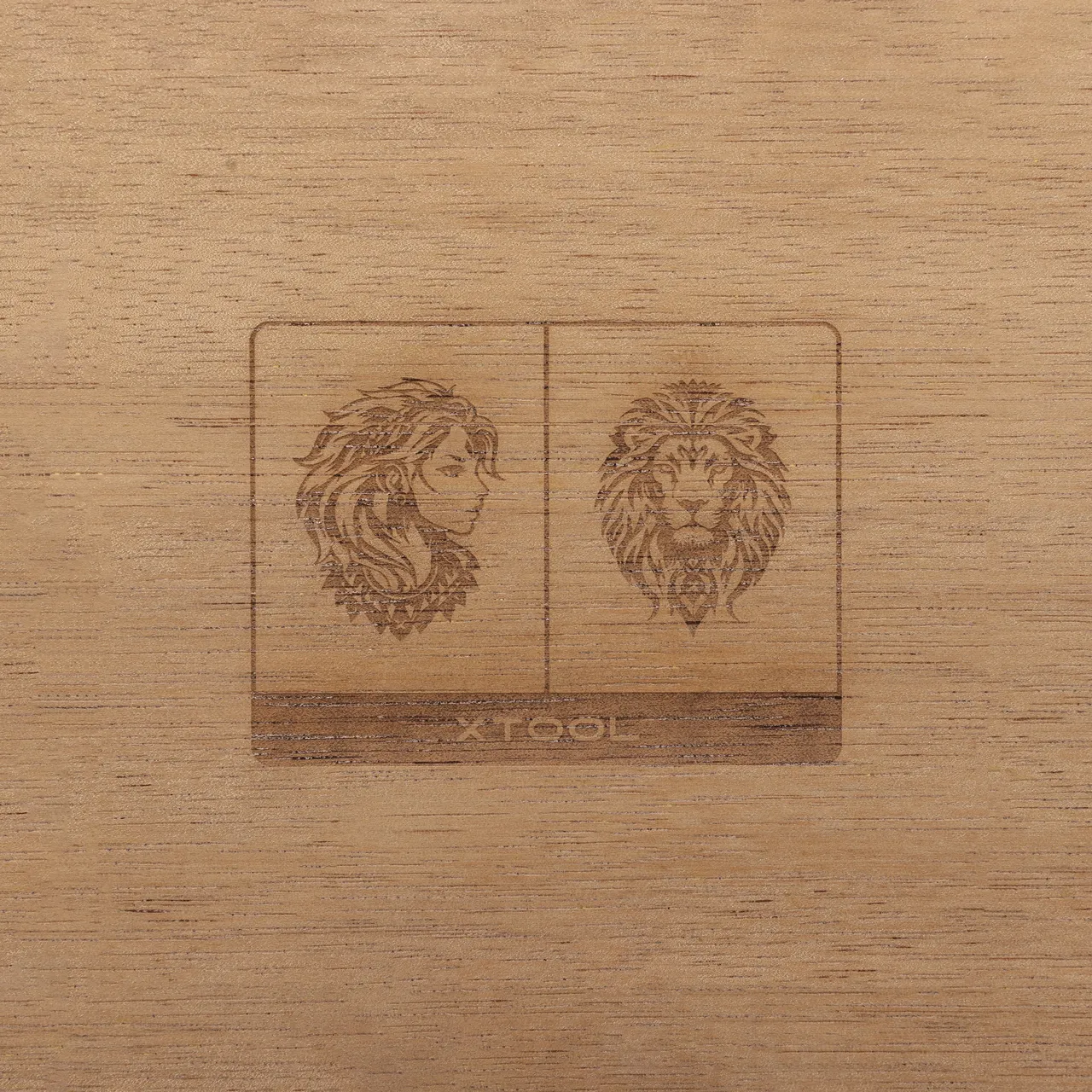 1/8"(3mm) Terminalia Plywood test grid